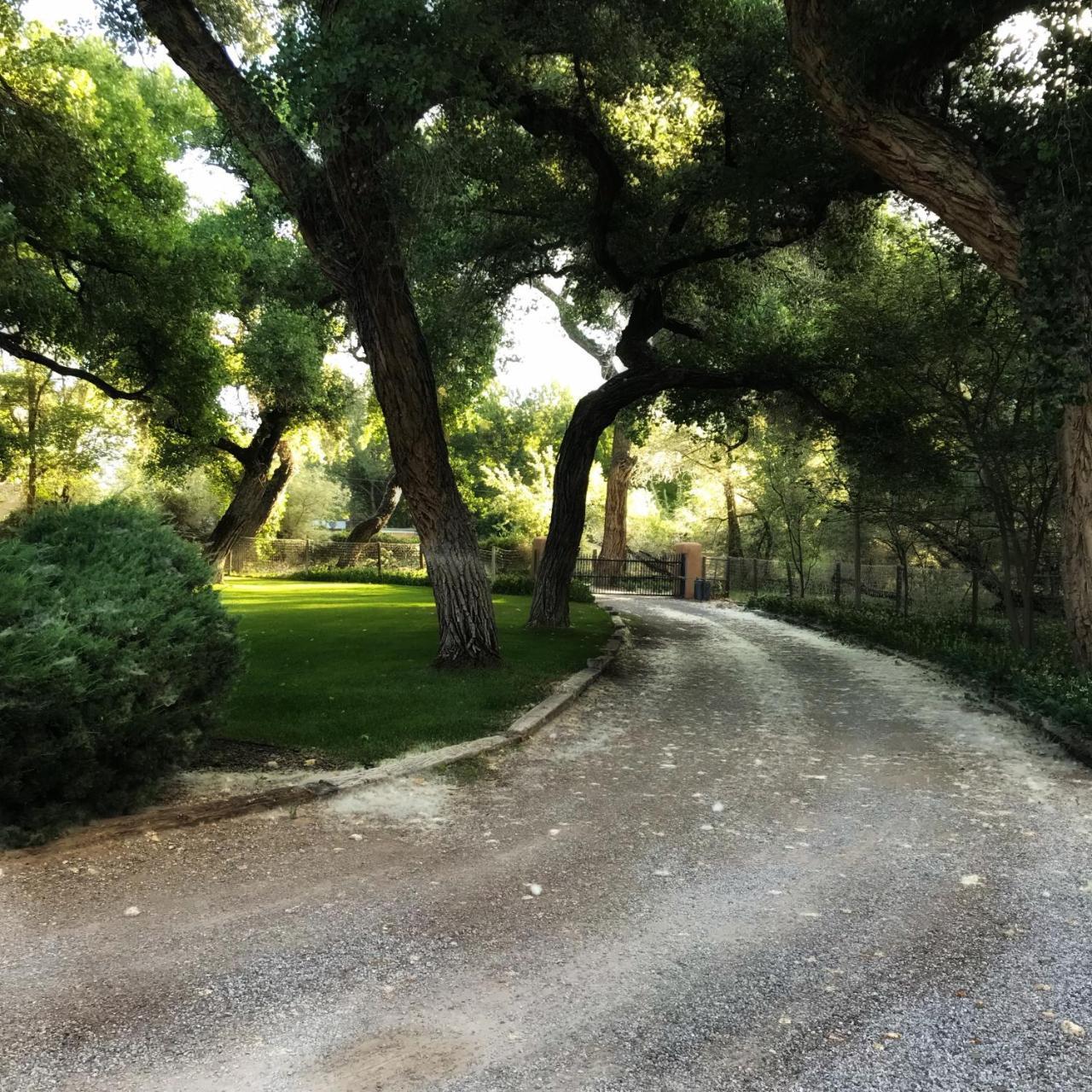 Morning Star Bed & Breakfast Of Corrales 外观 照片